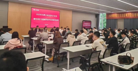 协会举办2025年全区电力企业继电保护与励磁系统专业技能培训