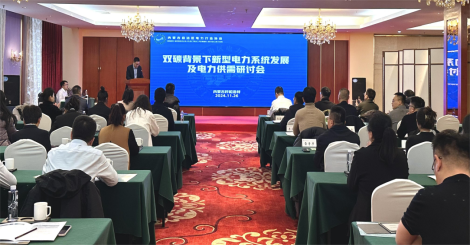 协会联合内蒙古自治区科学技术协会组织召开“双碳”背景下新型电力系统发展及电力供需研讨会