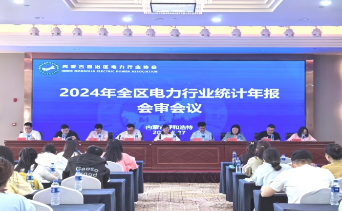 协会召开2024年全区电力行业统计年报会审会议